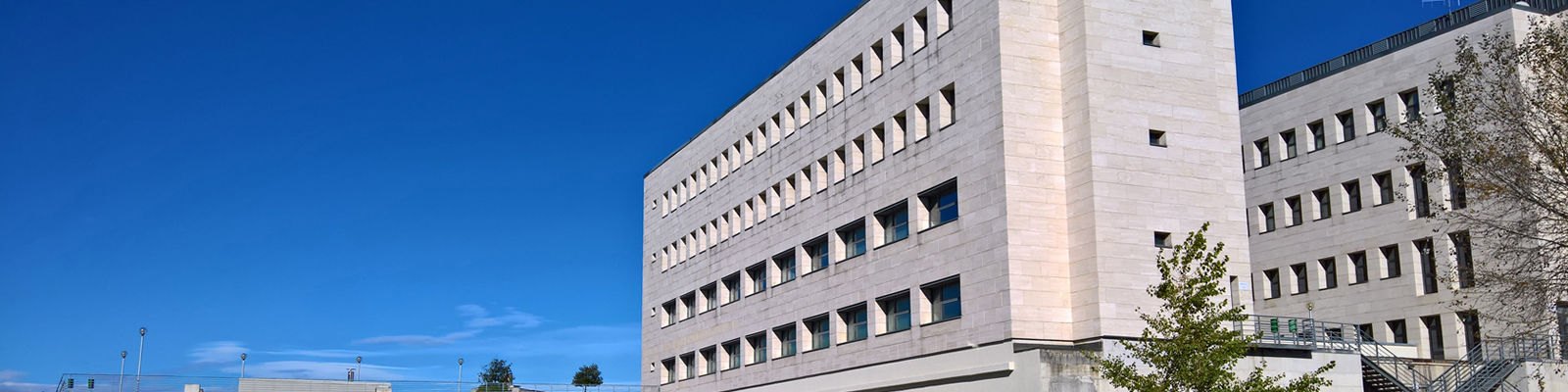 Biblioteca Medico Scientifica Polo Bibliotecario di Chieti